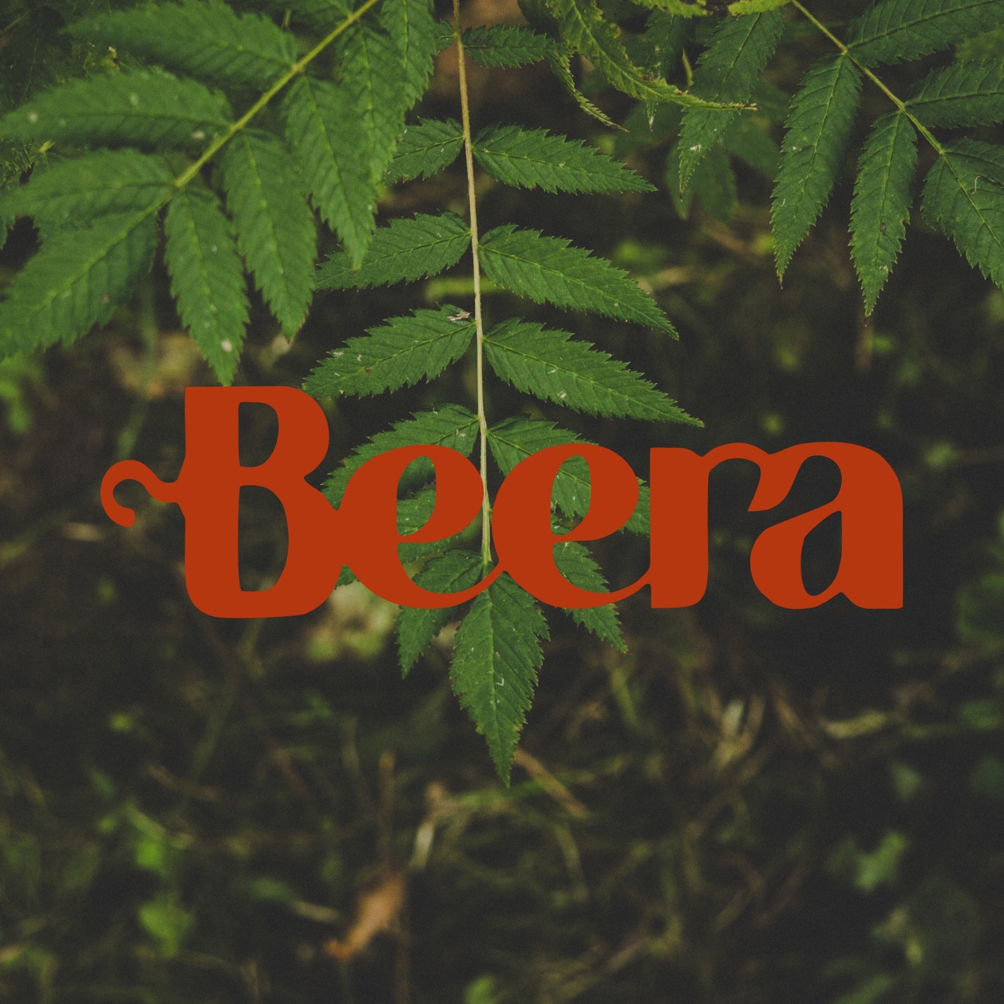 BEERA | São Paulo SP
