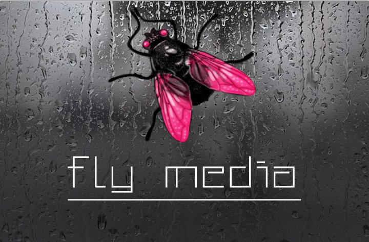 Fly Media Grafik