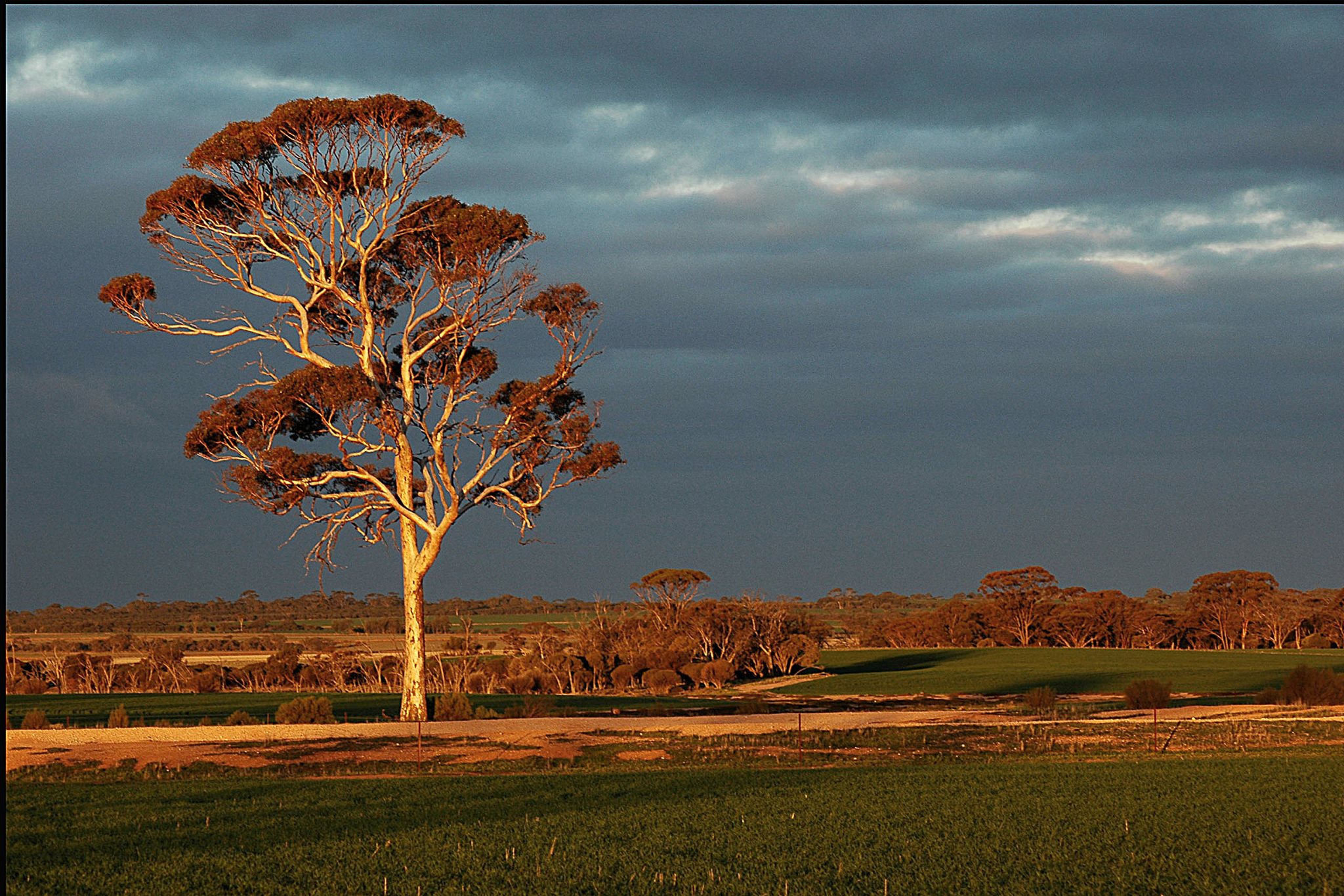 Nulla Nulla Farm Retreat | Moorine Rock WA