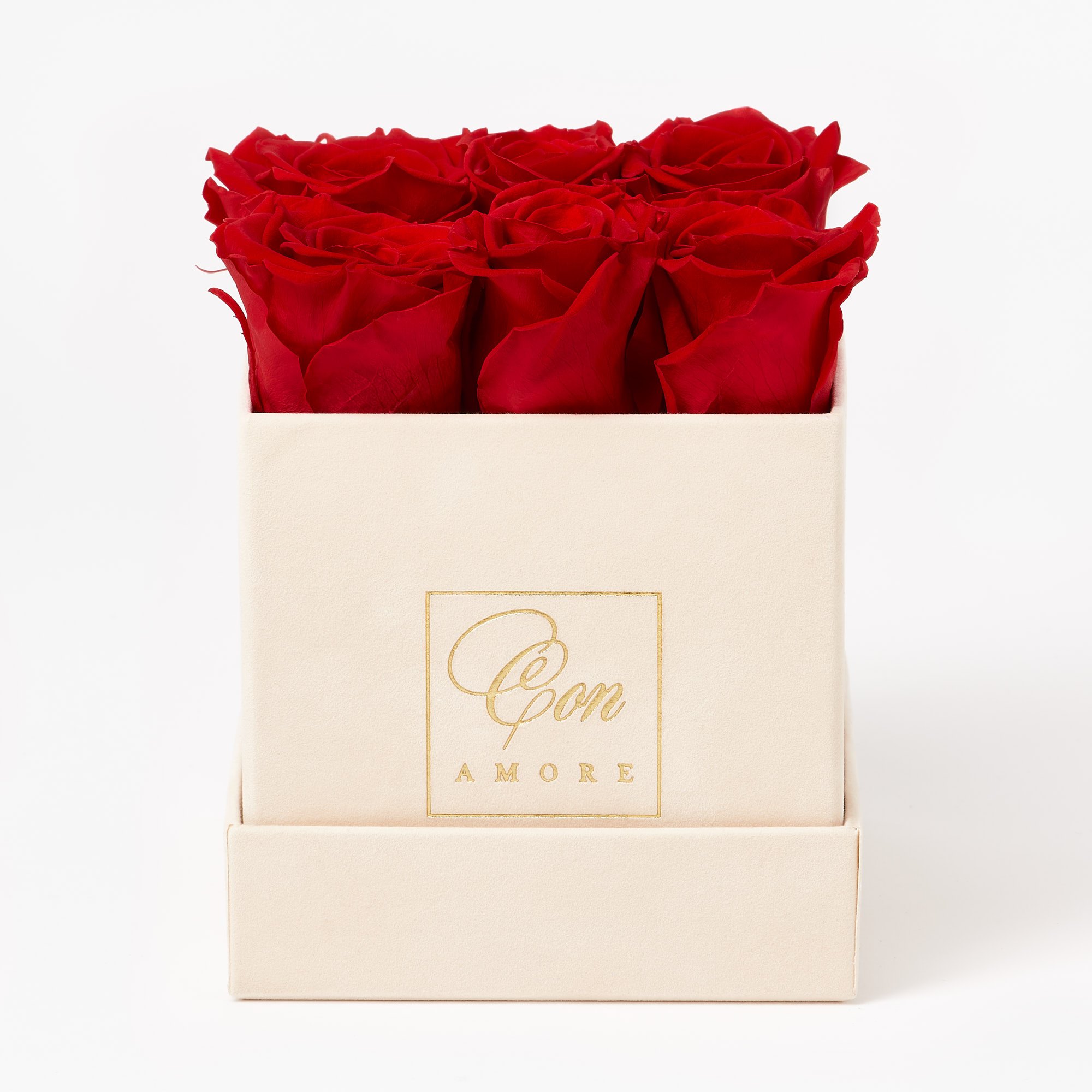 Con Amore Roses