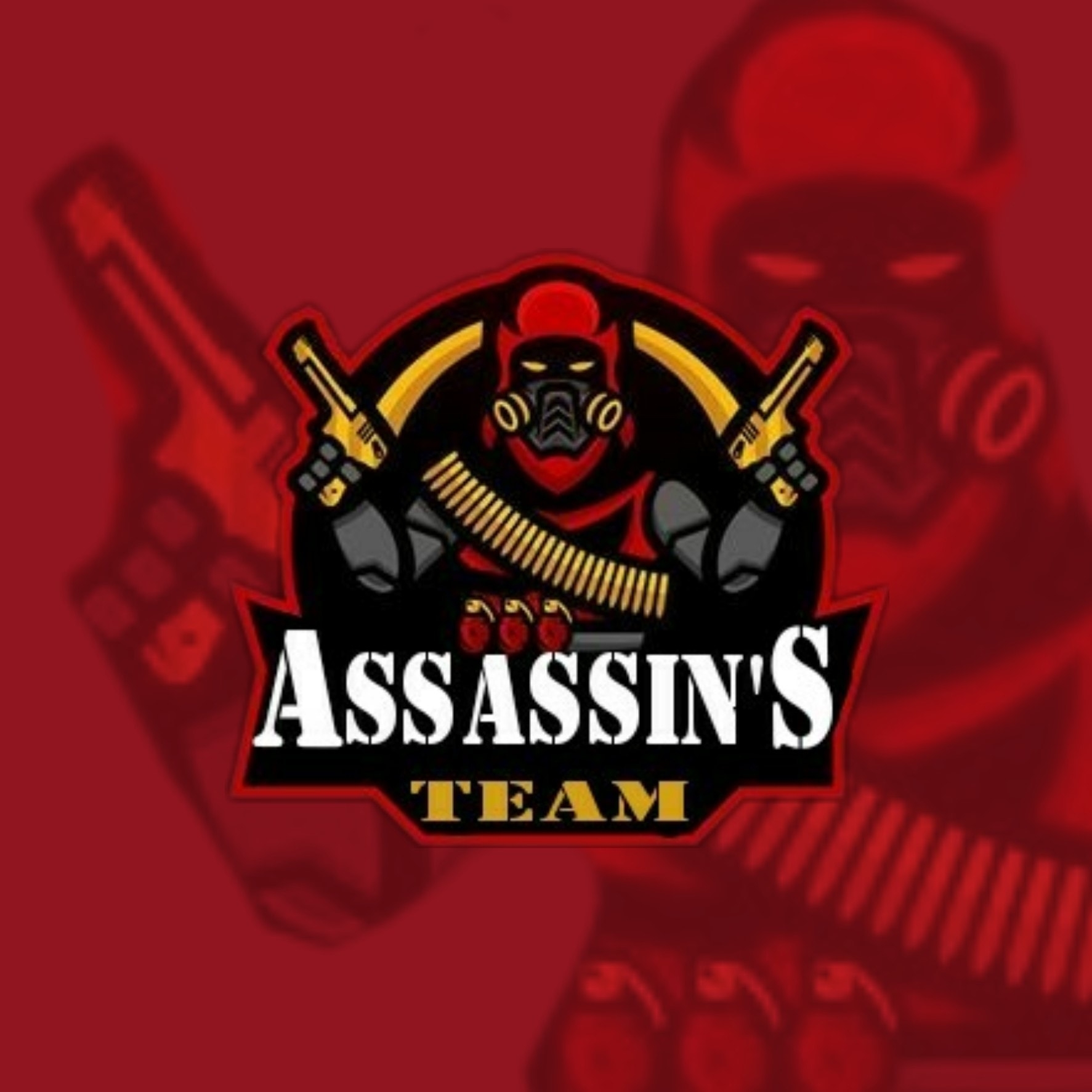 Team Assassin's