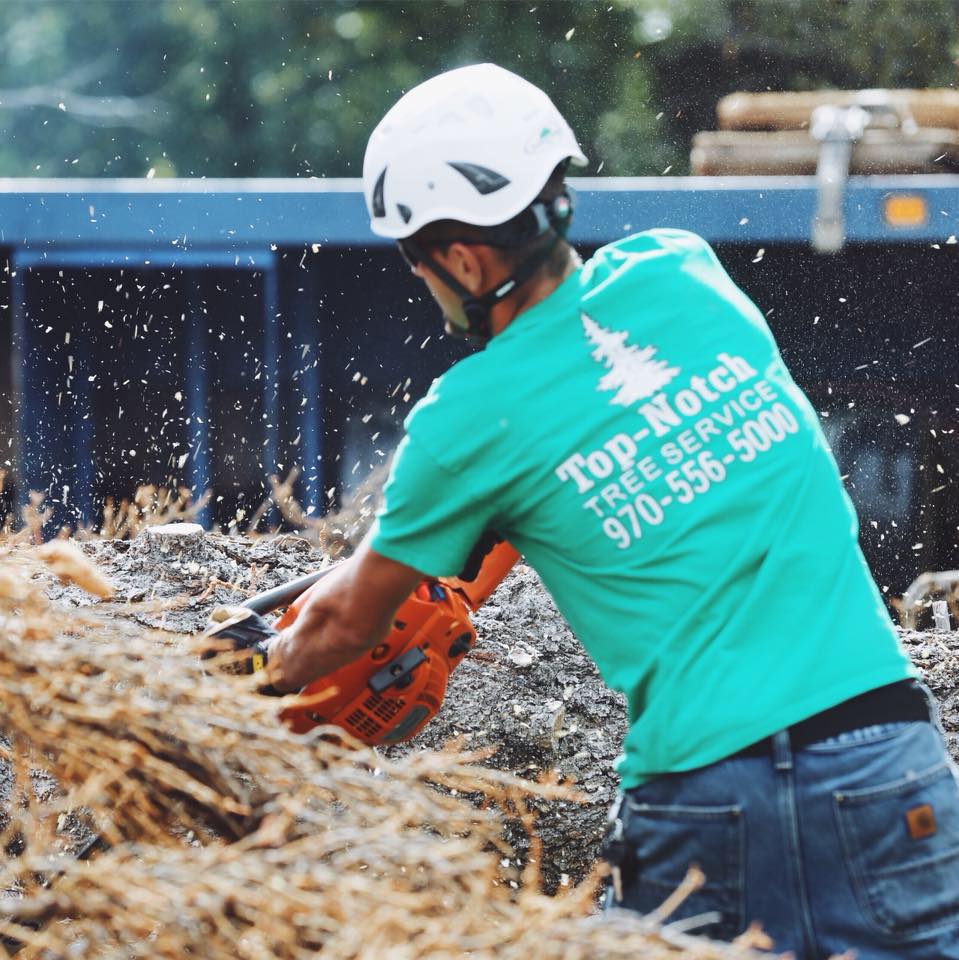 Tree removal is only the first... - Top Notch Tree Service | Facebook