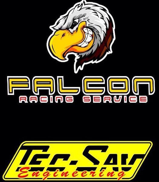 Falcon rs / Tec-Sav engineering | Saint Alban