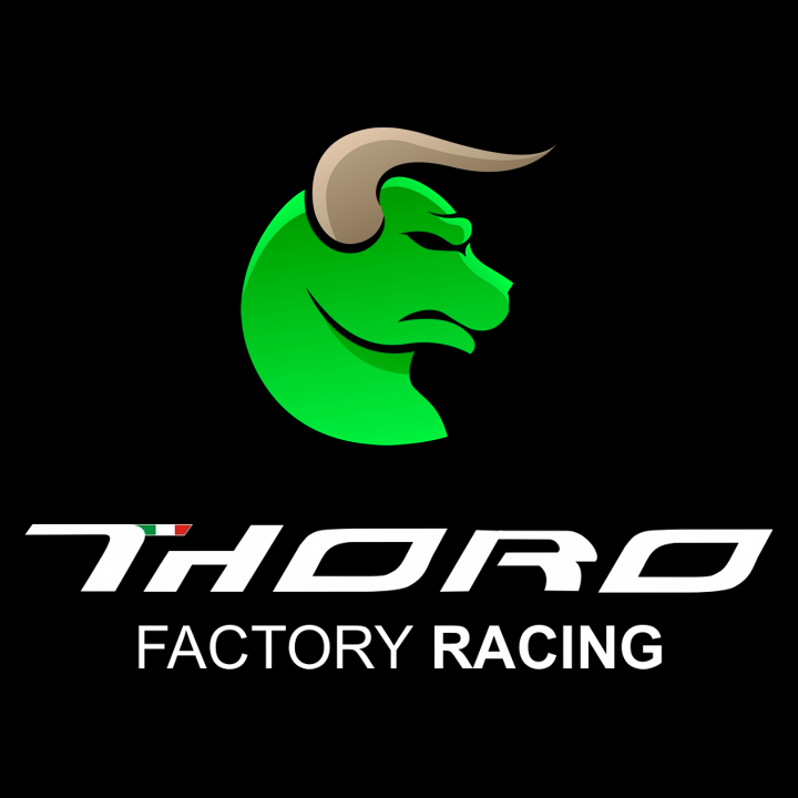 Thor Racing Logo Png Thor Logo Clipart Background Free PNG | TOPpng
