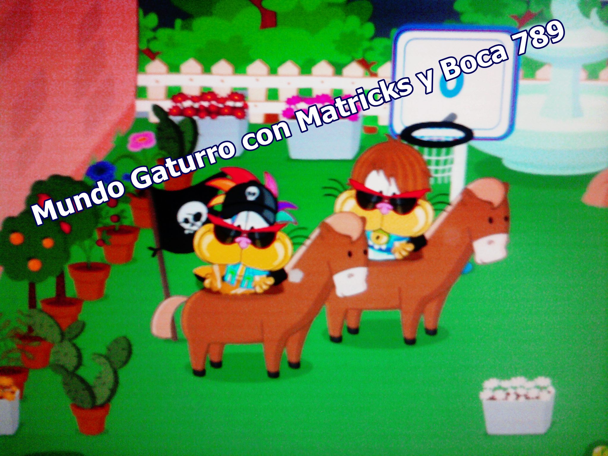 Mundo Gaturro con MATRICKS y BOCA 789