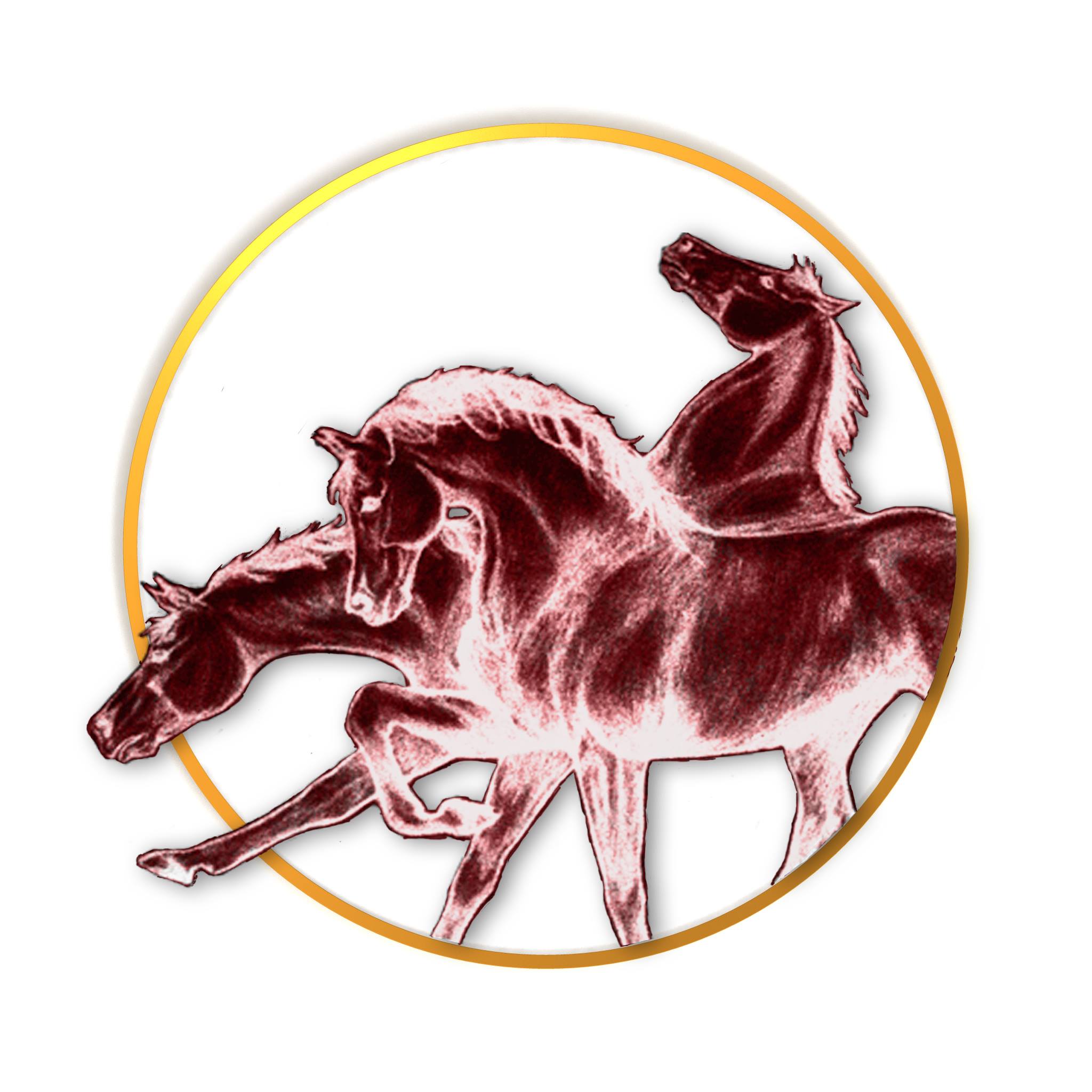 Vet-Design - Vet-design is delighted to participate at the Edinburgh ...