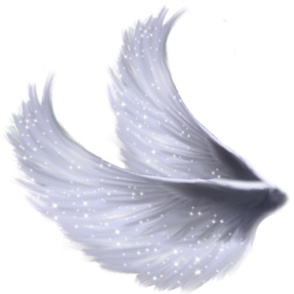 Choose the symbol that caught your eye first. Feather. Key. Butterfly ...