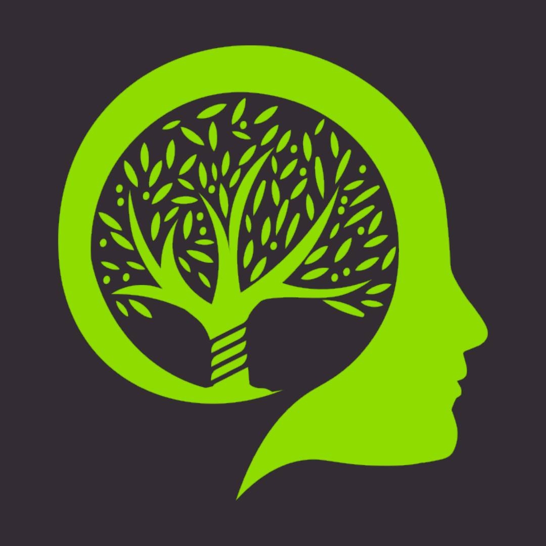 The Brain Innovation Project