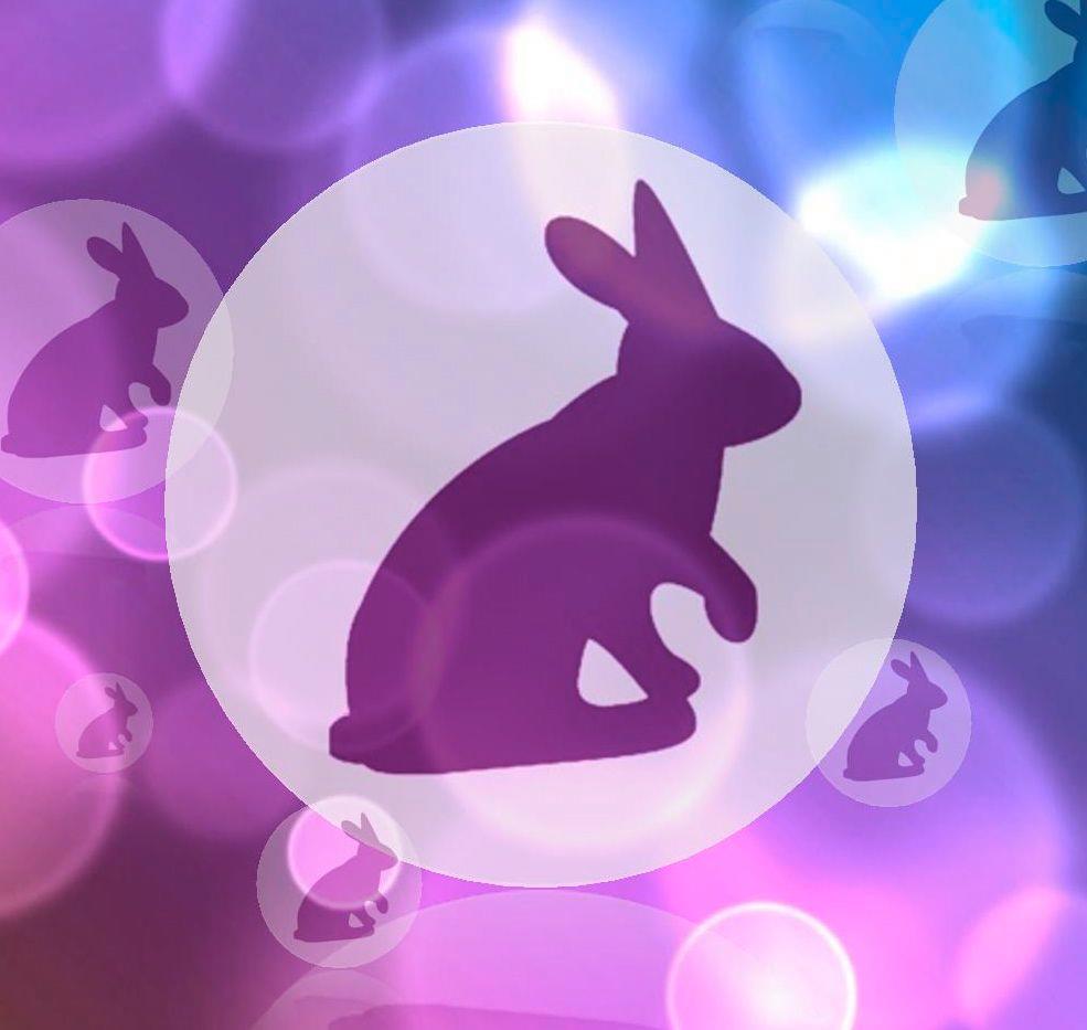 Sly Rabbits