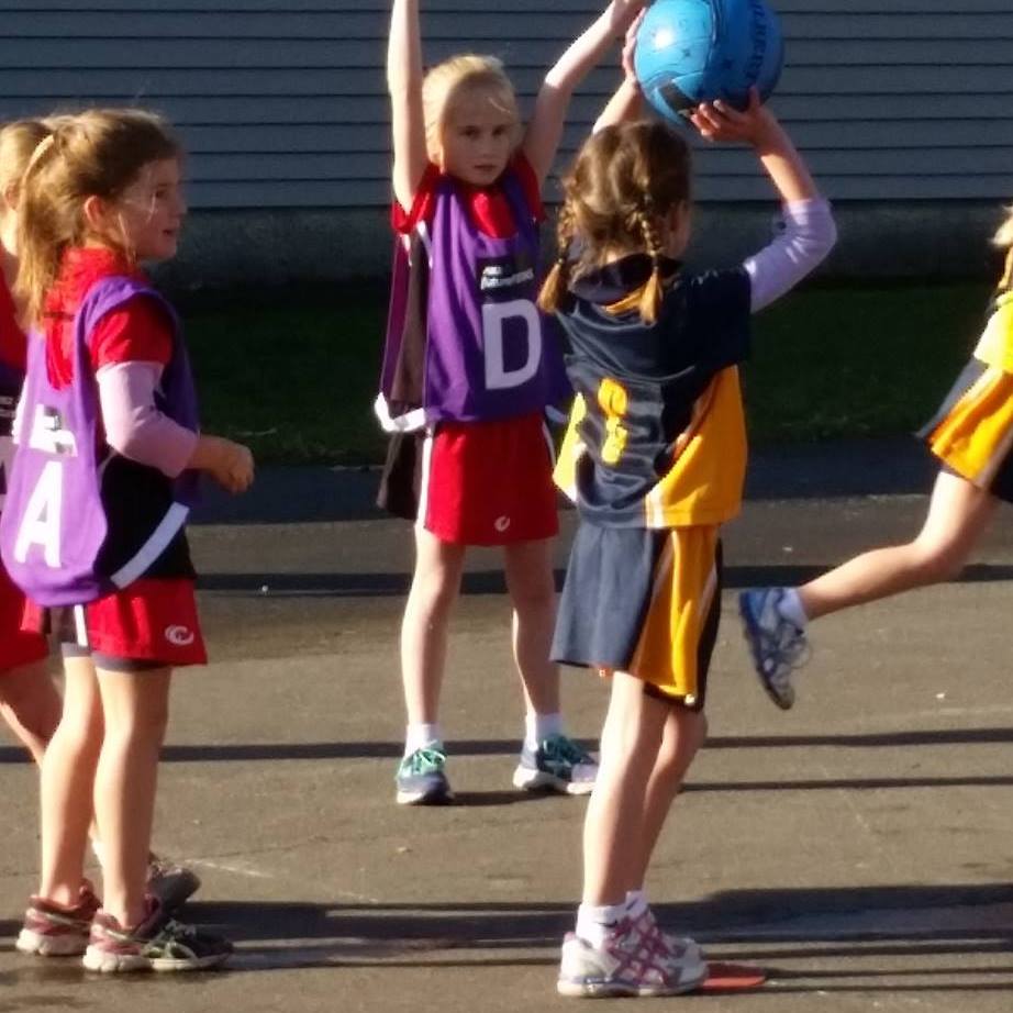 Hello Everyone, hope you are all... - Glenmark Netball Club | Facebook
