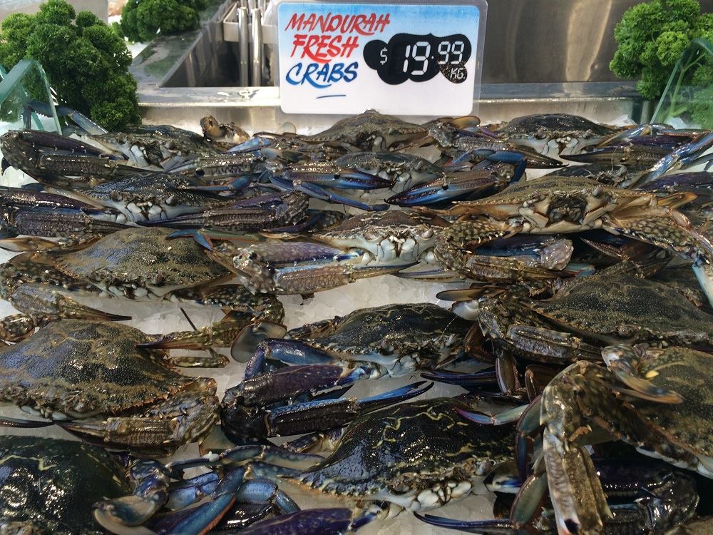 Seafresh Myaree - Fantastic catches means massive price crash ...