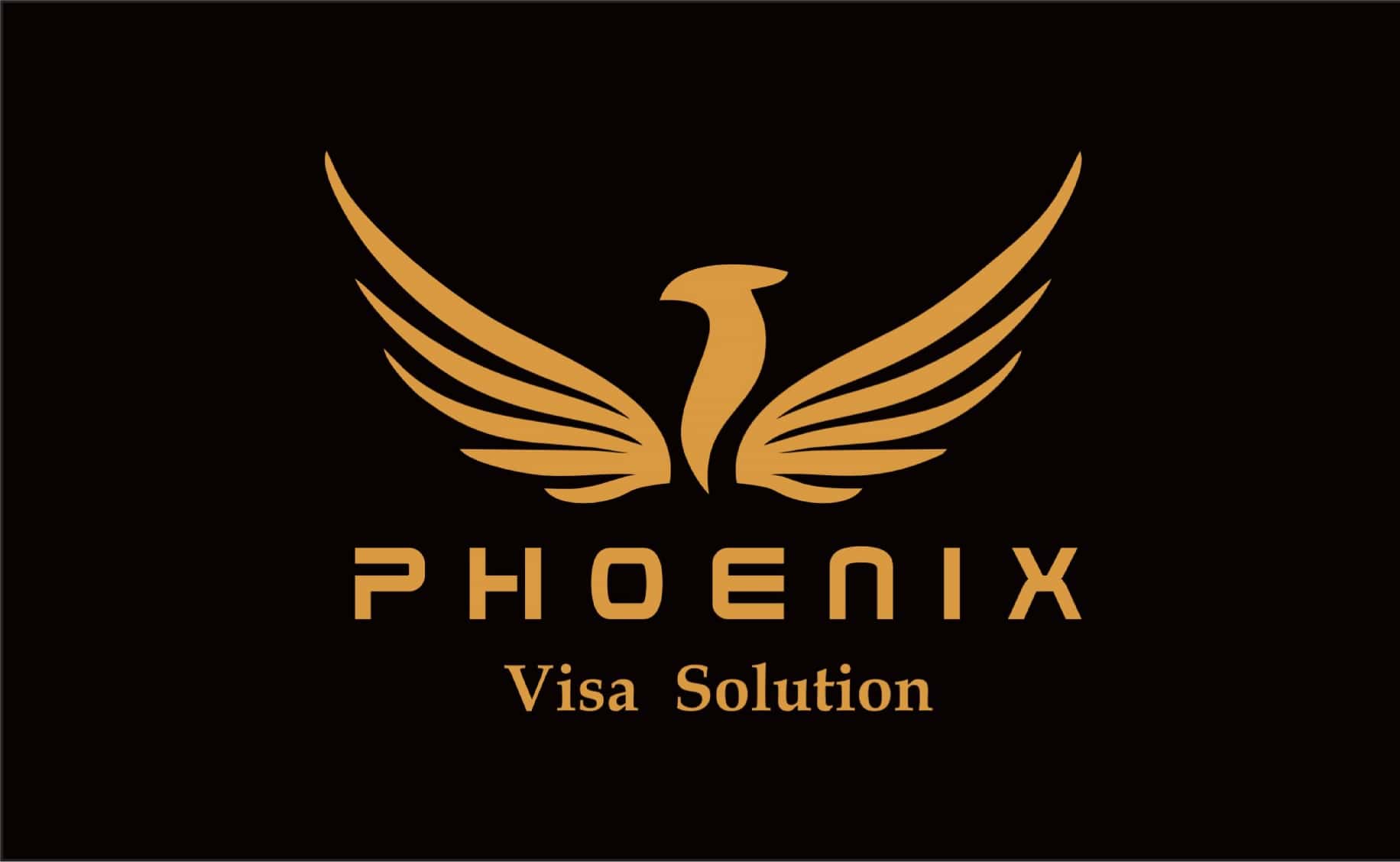 Phoenix visa solution | Rajkot
