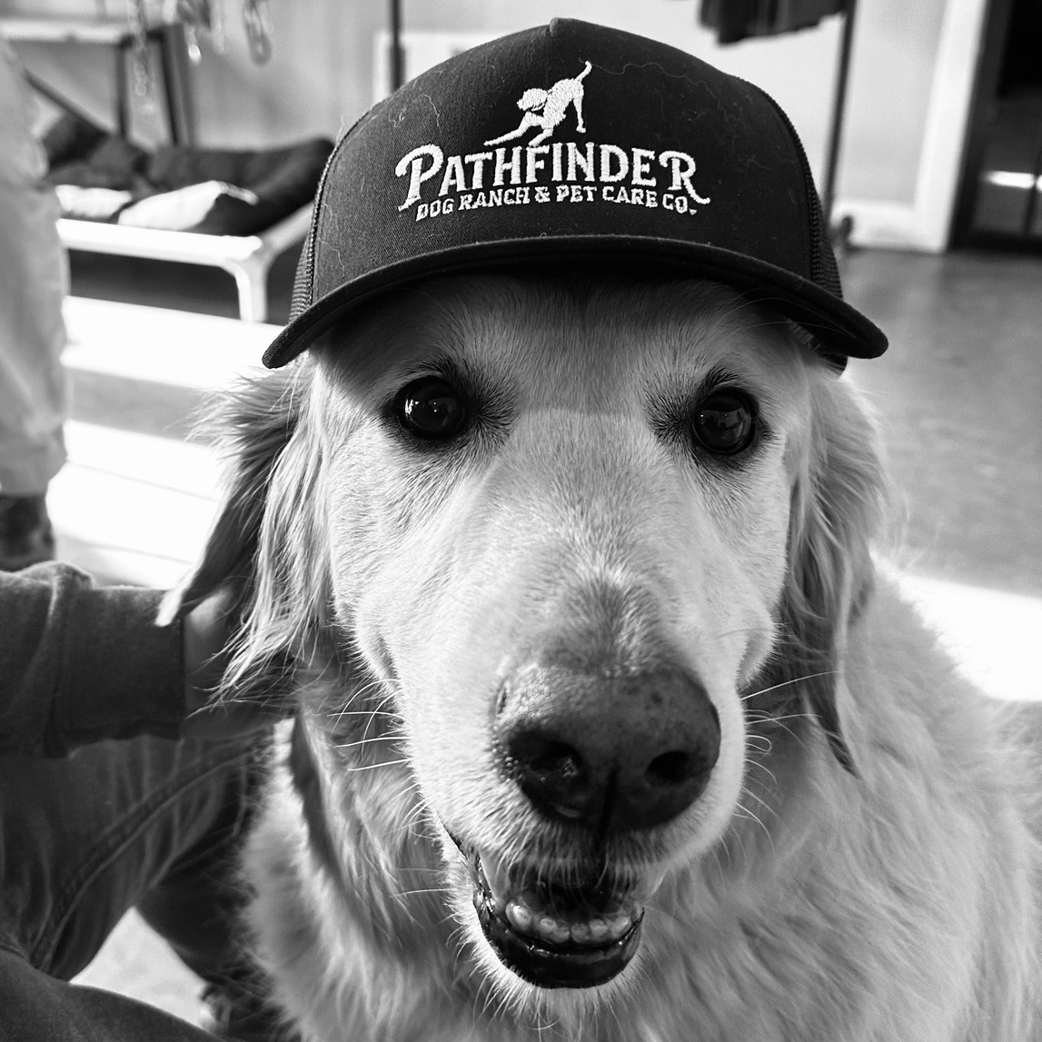Pathfinders Merch is here!! | Facebook