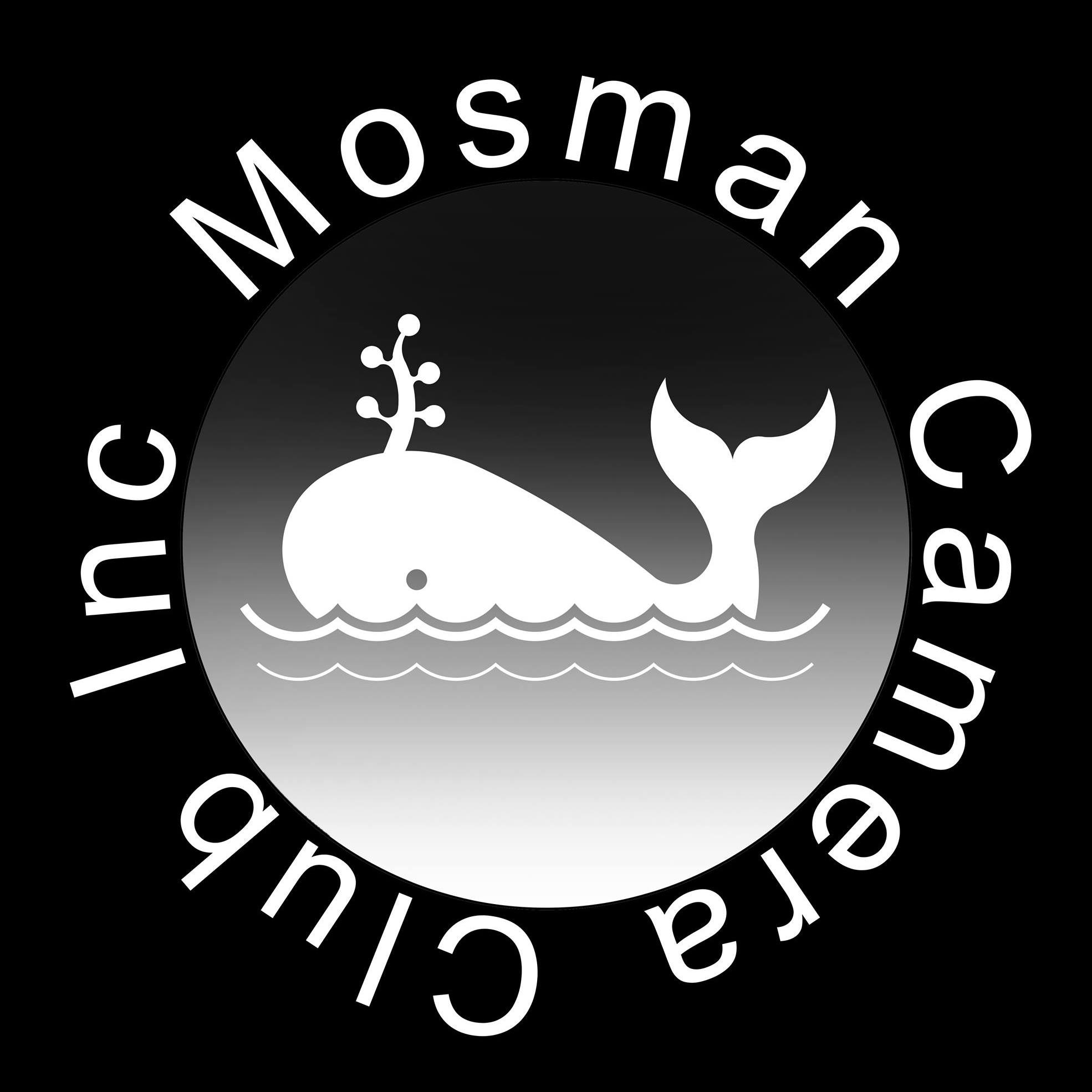 Mosman Camera Club - “Blue Lake” by Vera Robinson was awarded a Credit ...