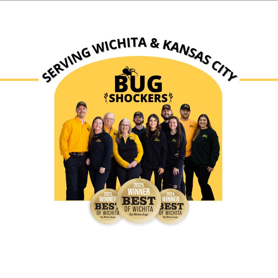 Bug Shockers