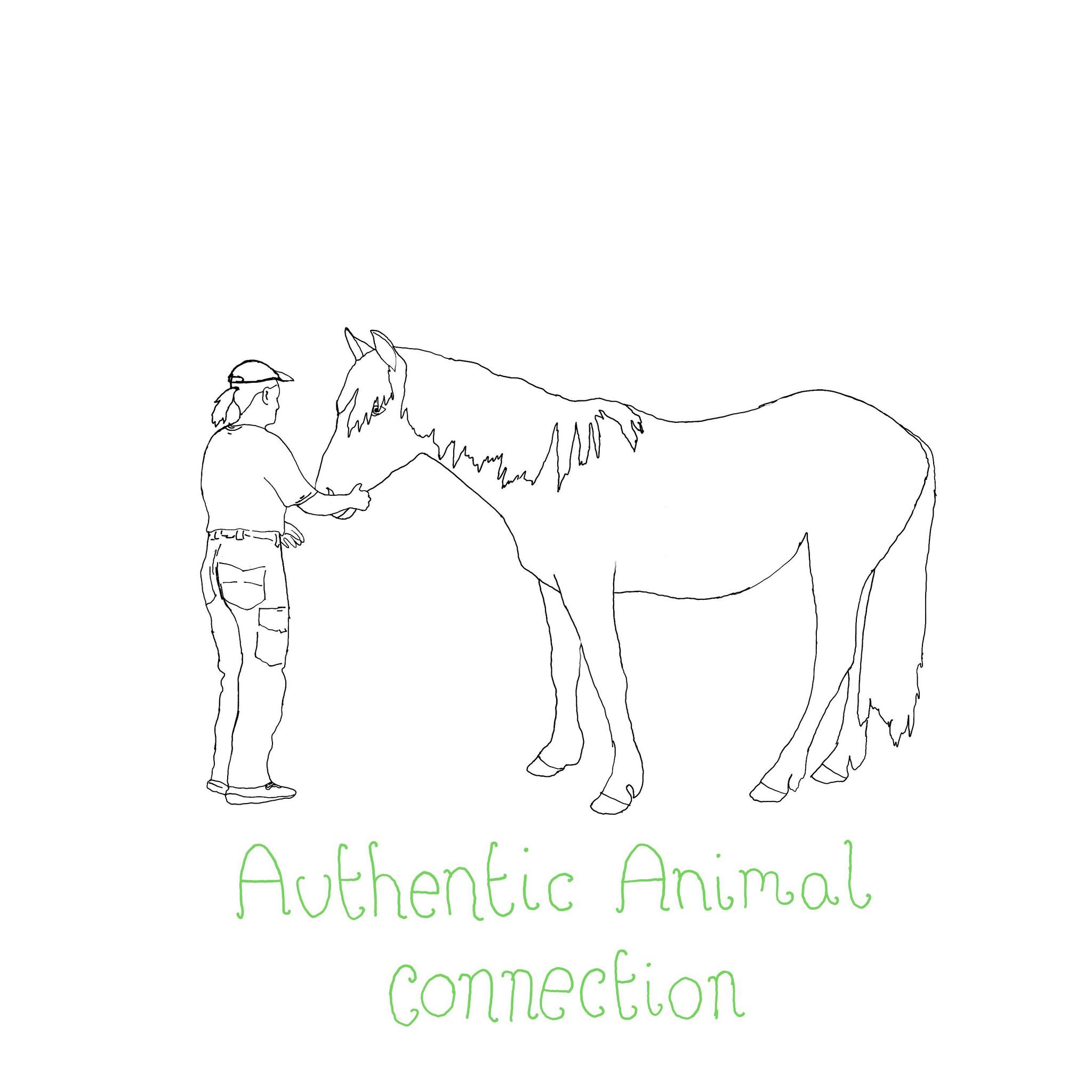 Authentic Animal Connection | Cobham