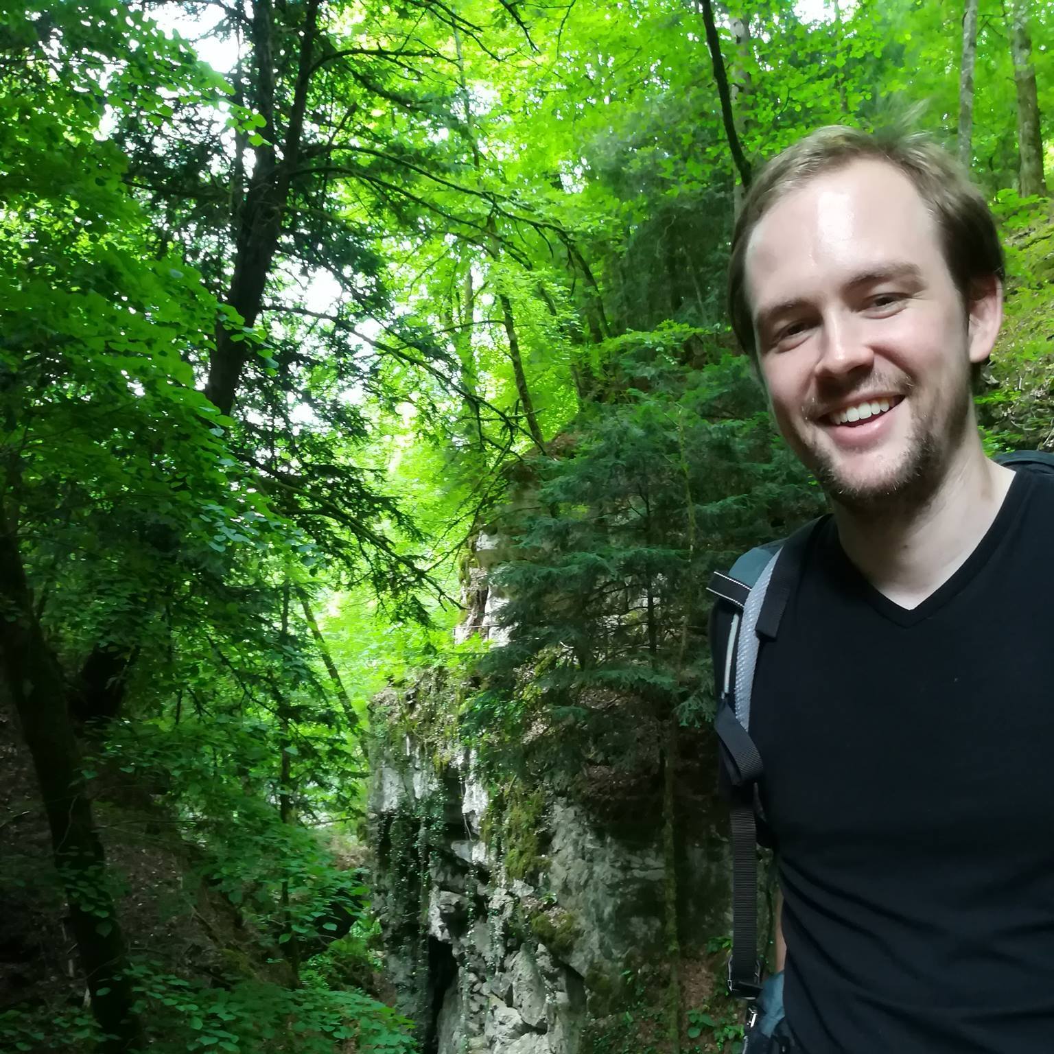 Baumgrotte