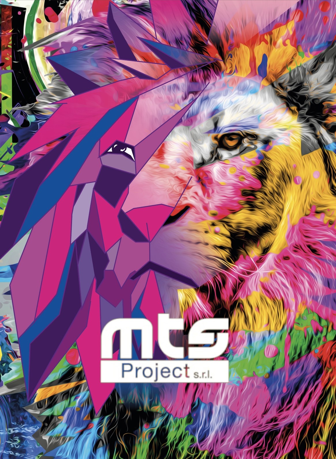 MTS Project srl | San Vendemiano