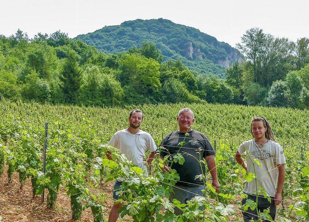 Vignoble Benoît Merle | Saint Alban