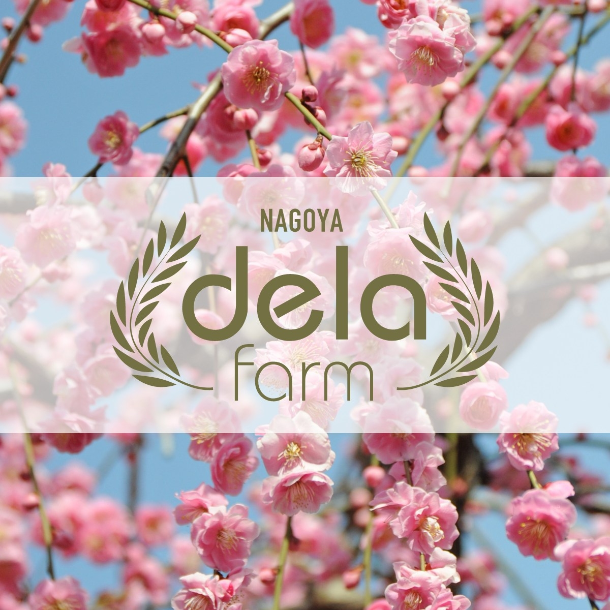 名古屋 市 農業 センター dela ふぁ ー む