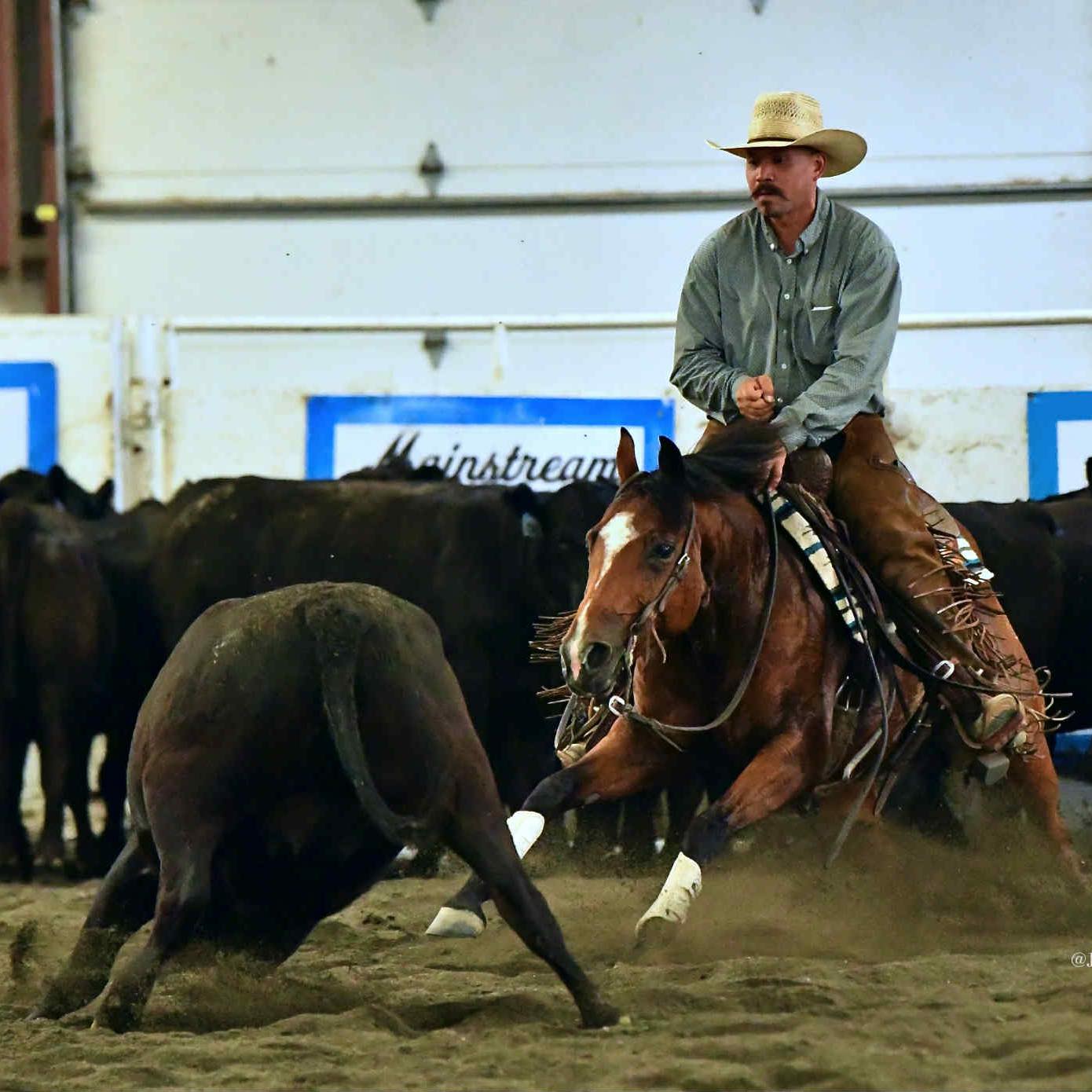 We had such a great time... - Stewart Performance Horses | Facebook