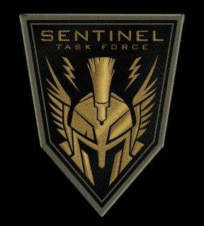 Sentinel TASK FORCE Team
