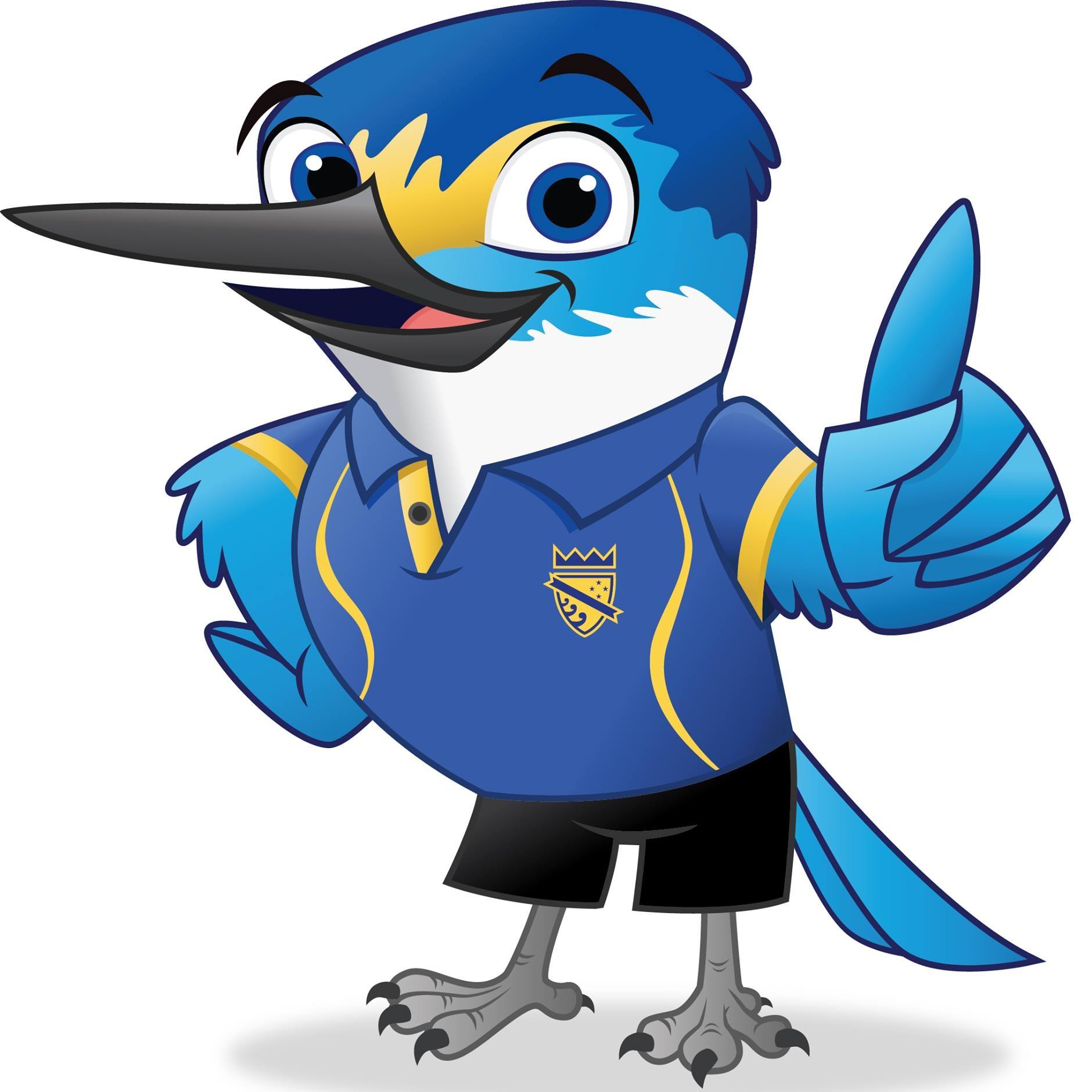 History of Sussex | A quick reminder that the Henfield Club is today ...