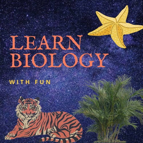 Learn Biology With Fun