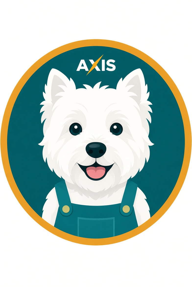 Axis Electric Group Ltd | Blantyre