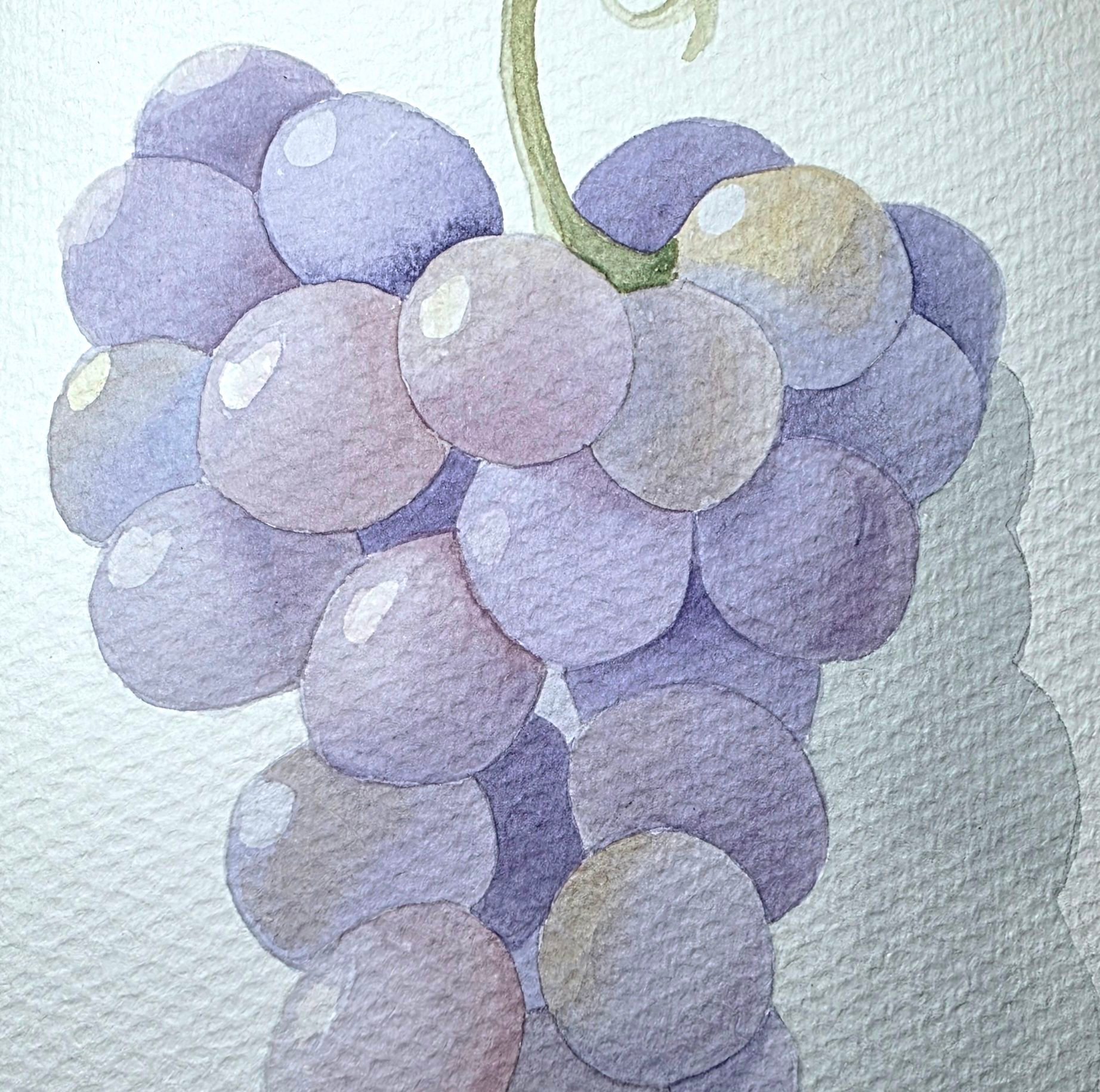 Carmen Blanco Arte