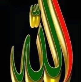 Aziz Rana