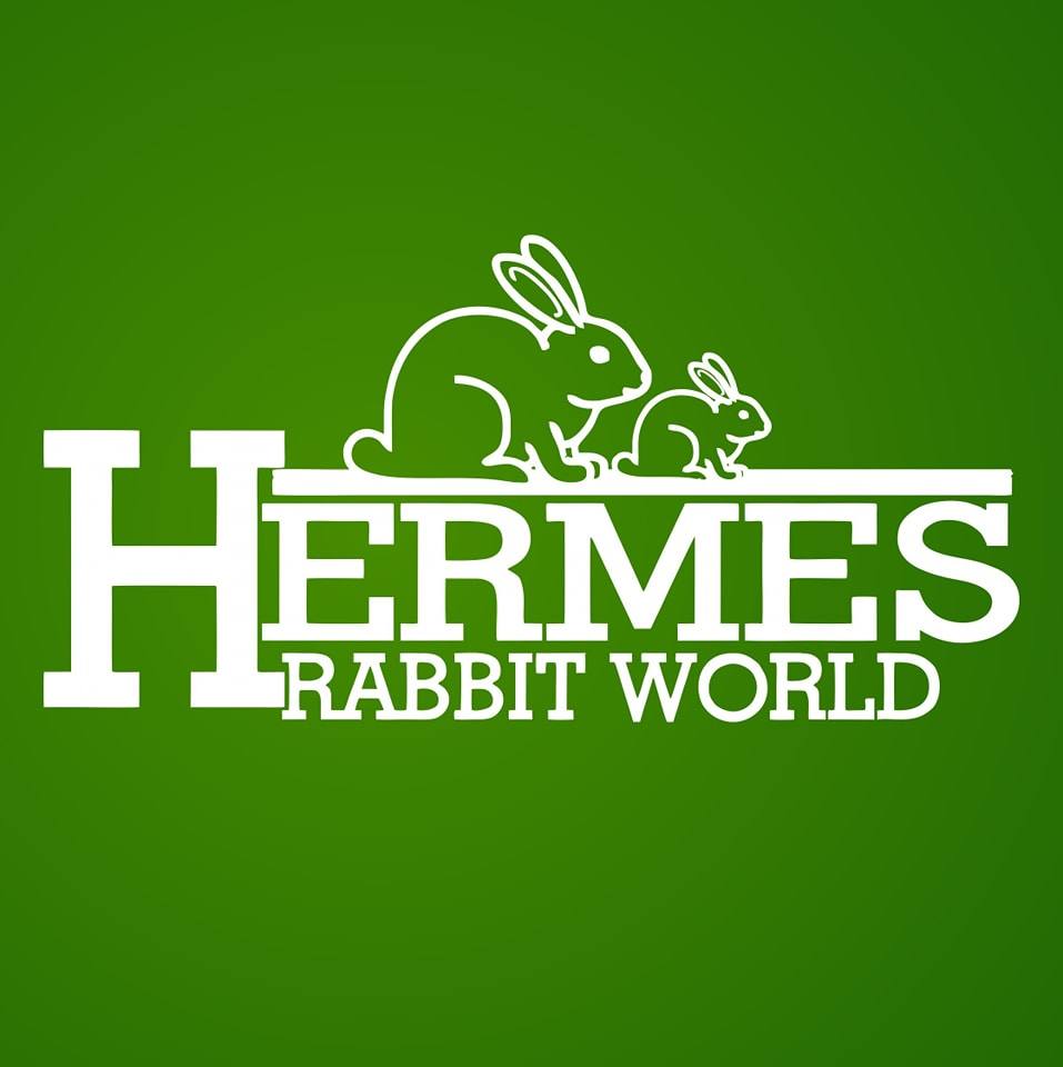 Hermes Rabbit World | Kwara