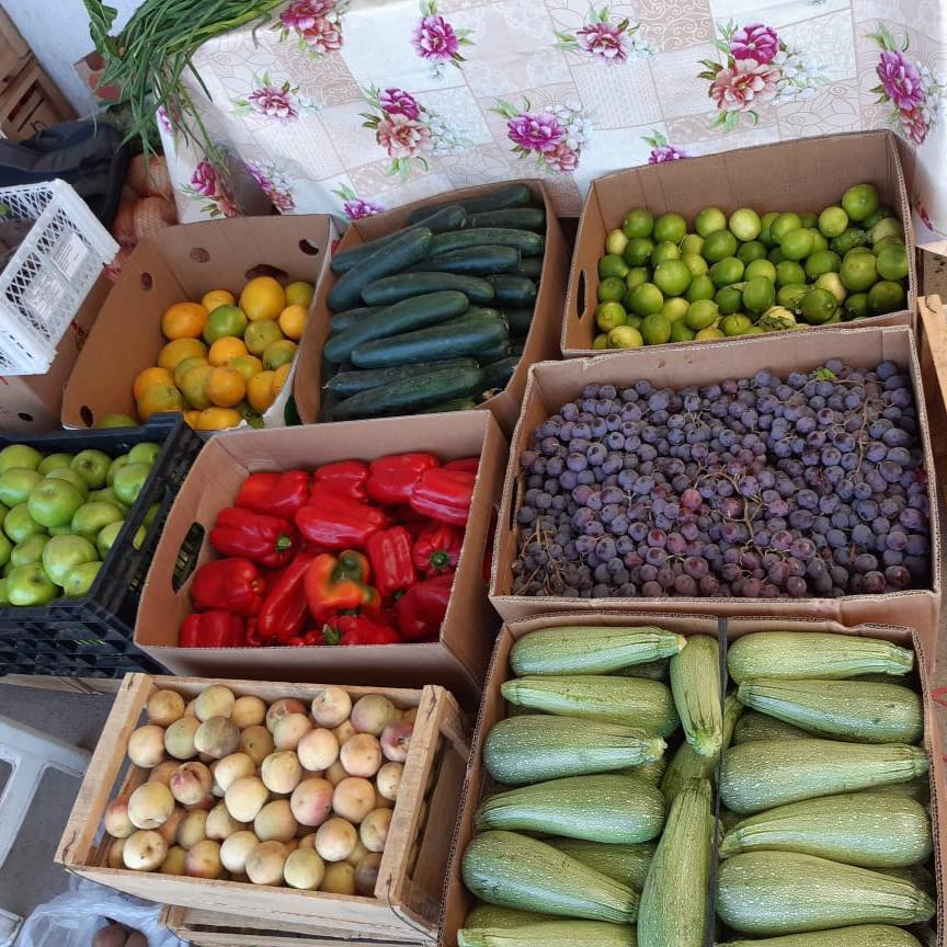 frutas-y-verduras-a-domicilio