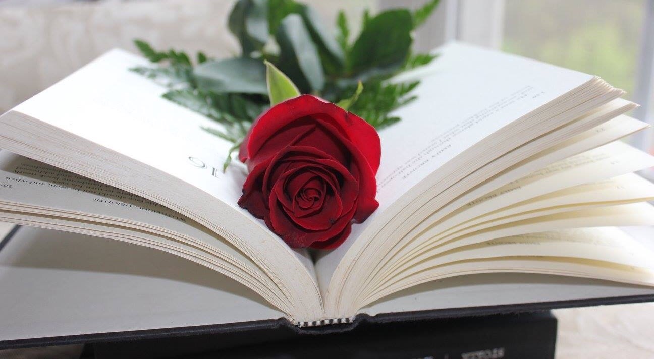 Read With A Rose Blog