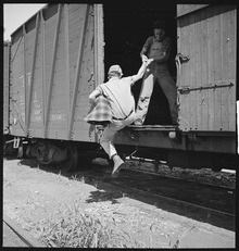 The Boxcar Riders