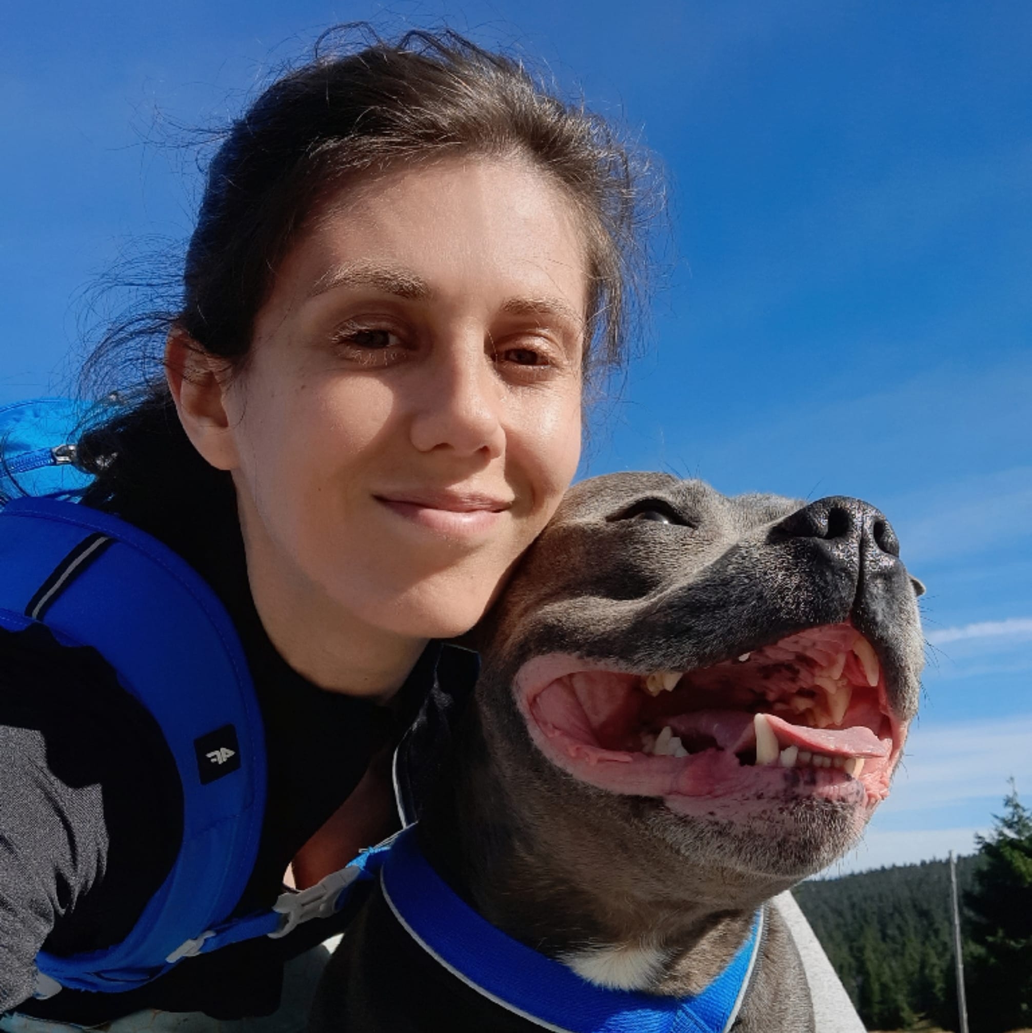 Lendog