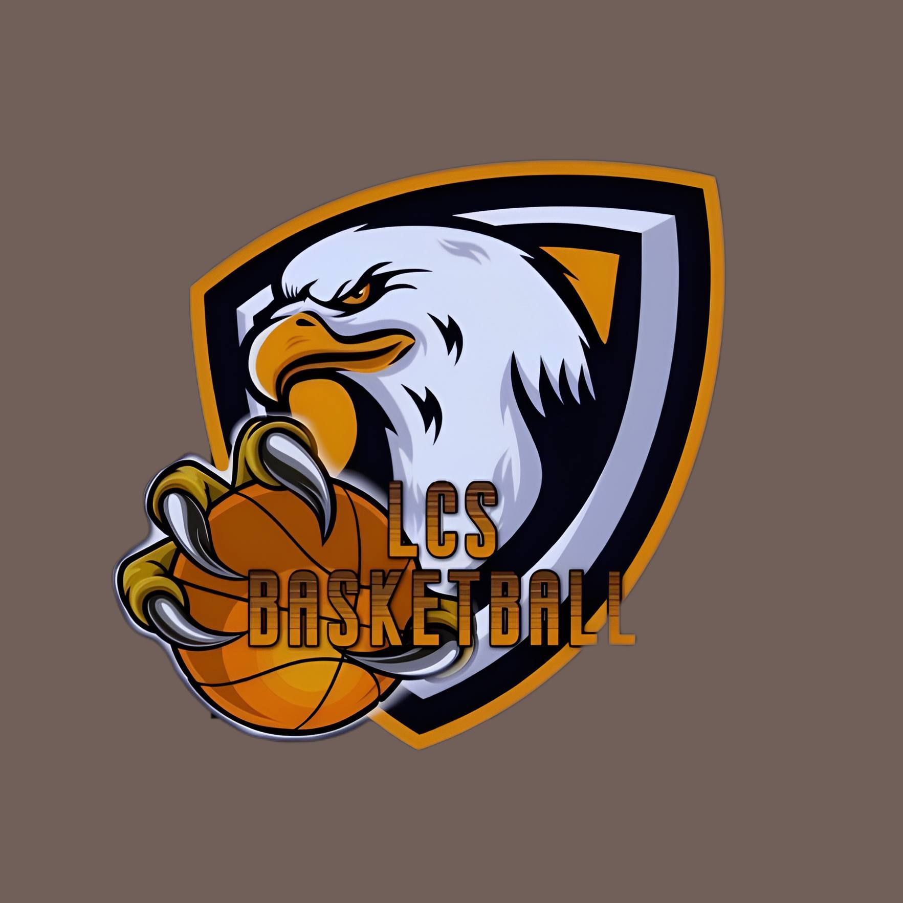 CLB Bóng Rổ THPT LCS | Phu Tho