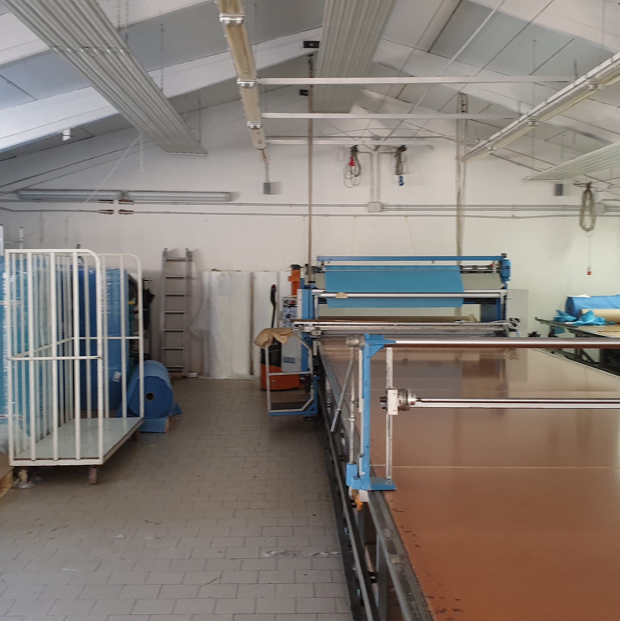 Taglio Tre Gi snc | Novi di Modena