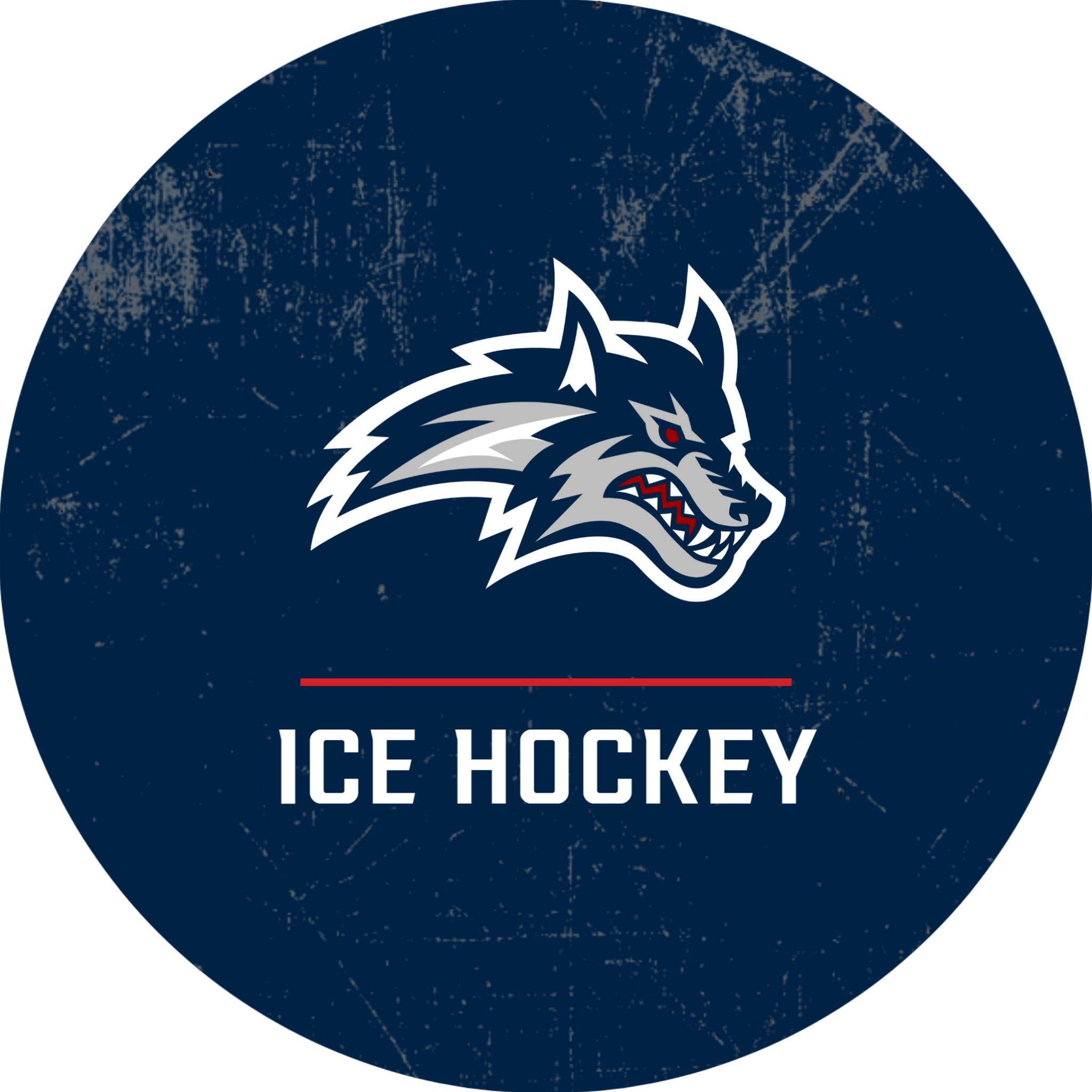 Stony Brook Ice Hockey