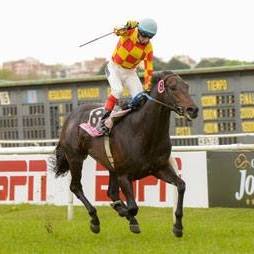 Perfil de Haras Don Nico