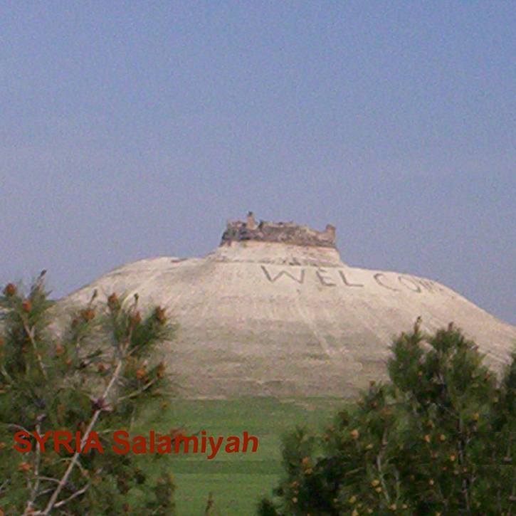 Syria Salamiyah