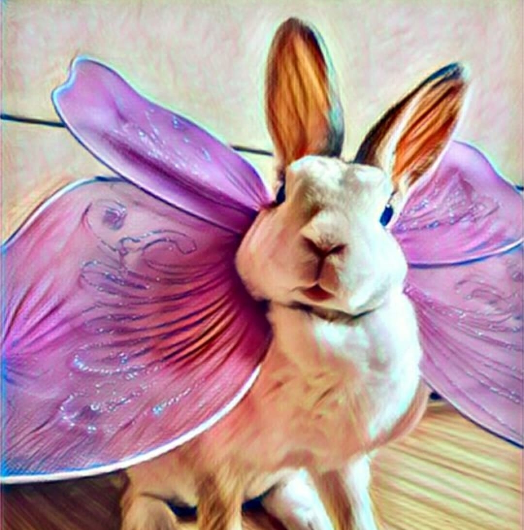 Happy Happy Angel Bunny