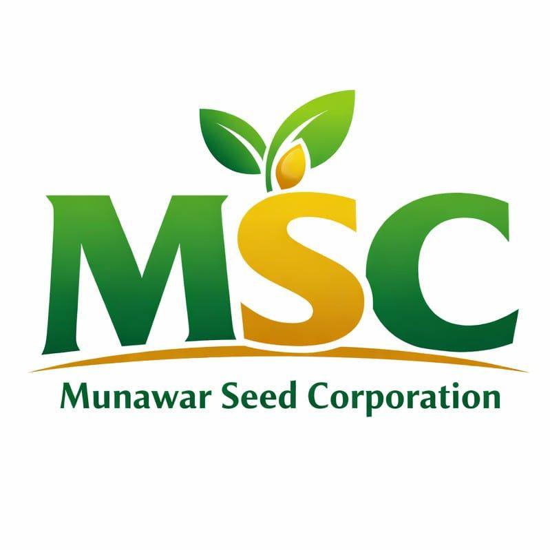 Munawar Seed Private Limited | Layyah