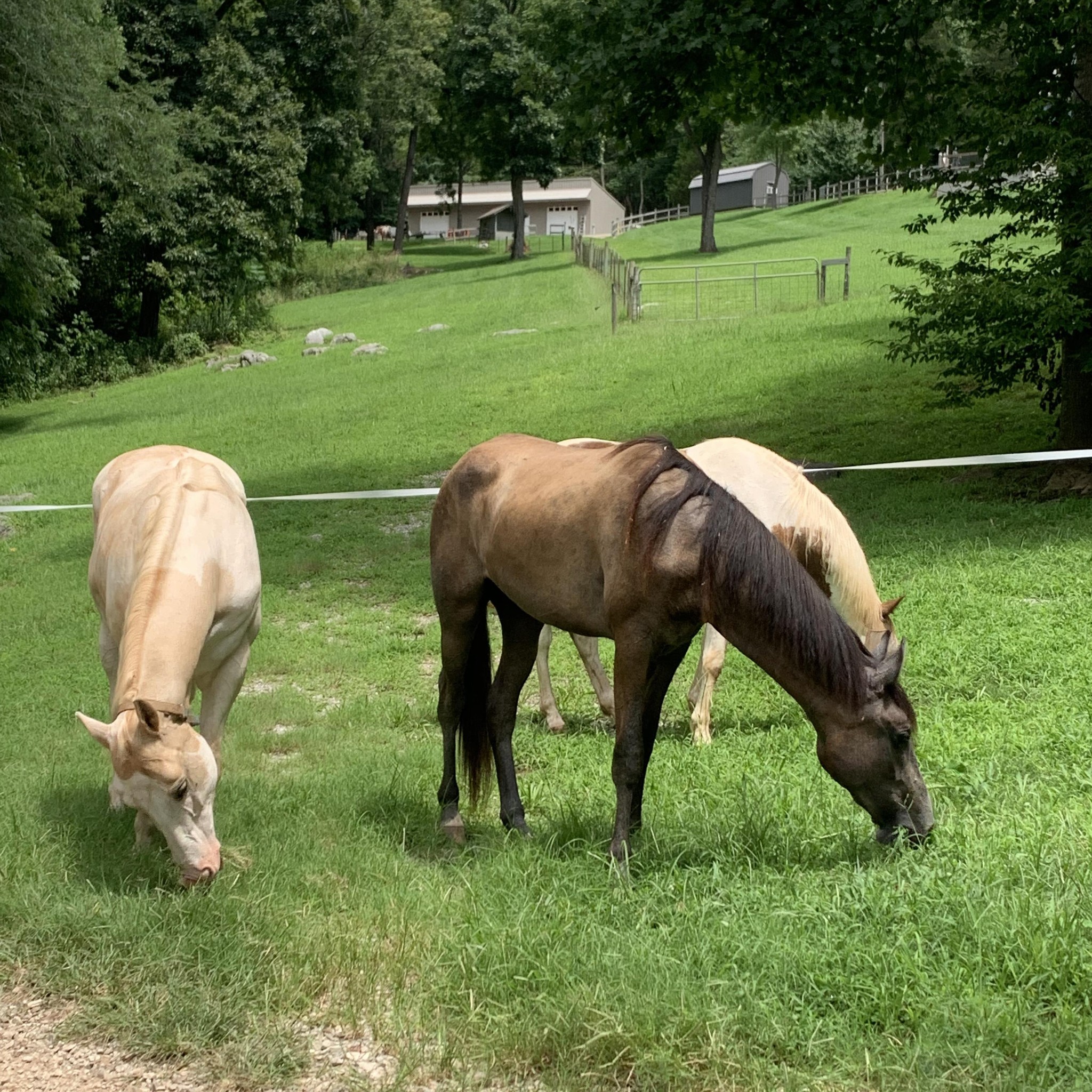 Nine Flags Ranch