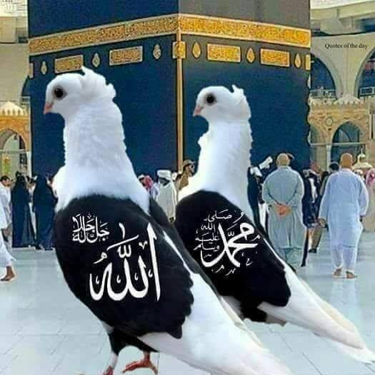 Chashmee Badoor