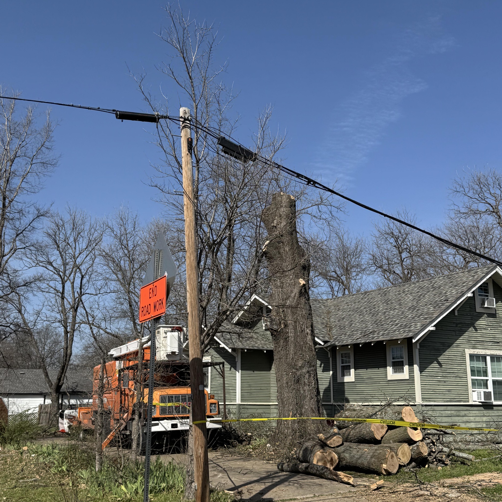 Tree Amigos Tree Services | Whitewright TX
