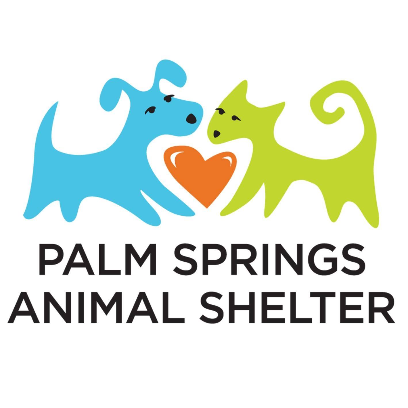 Lost and Found Pets in Palm Springs