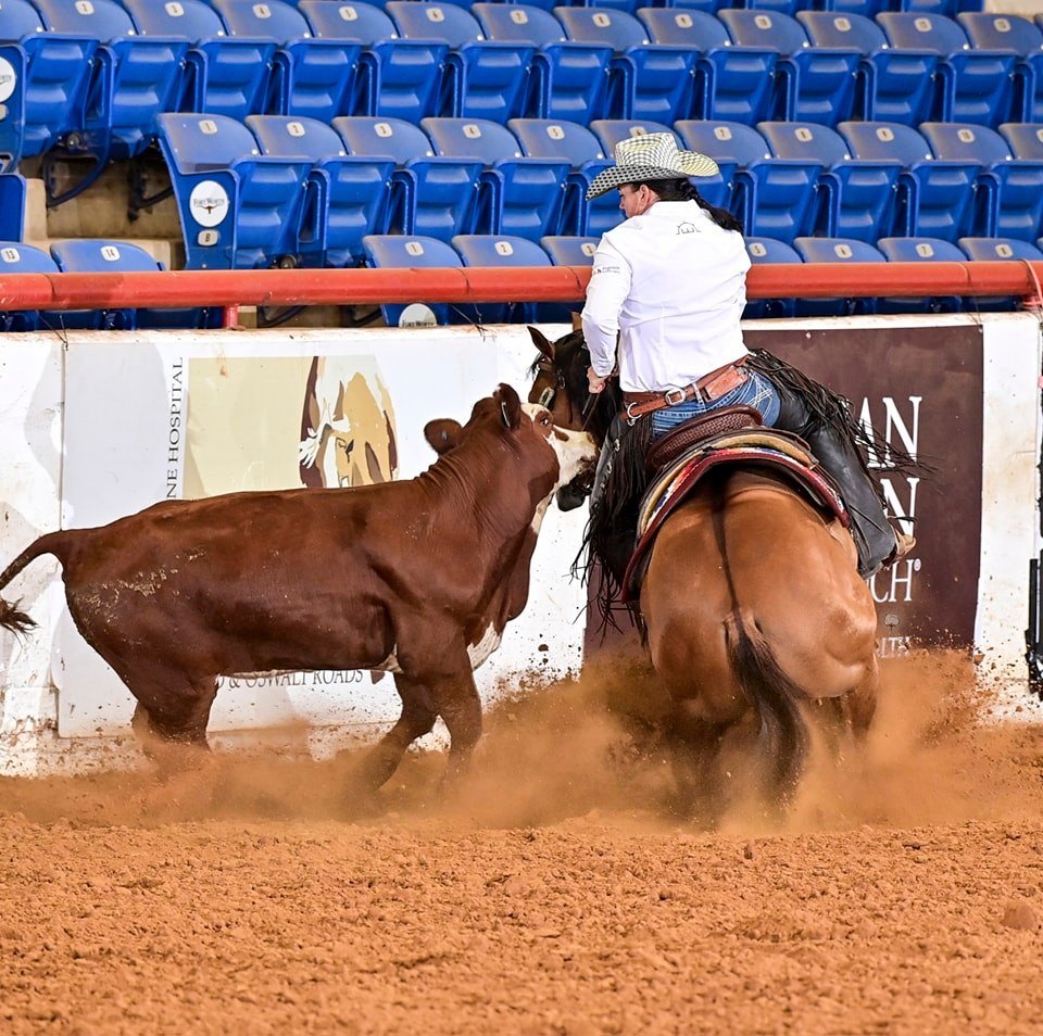 Rising E Performance Horses... - Rising E Performance Horses