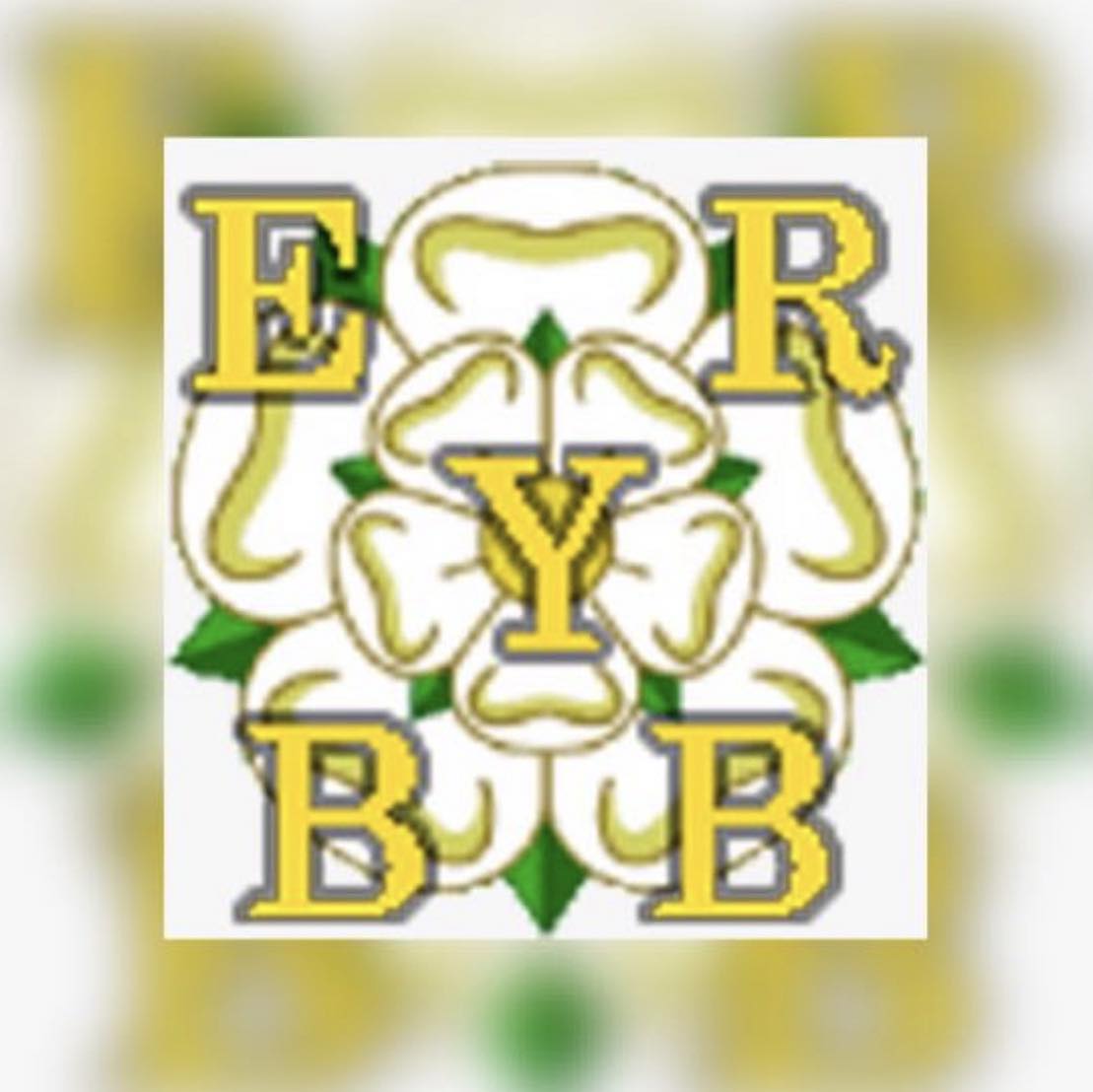 East Riding Youth Brass Band