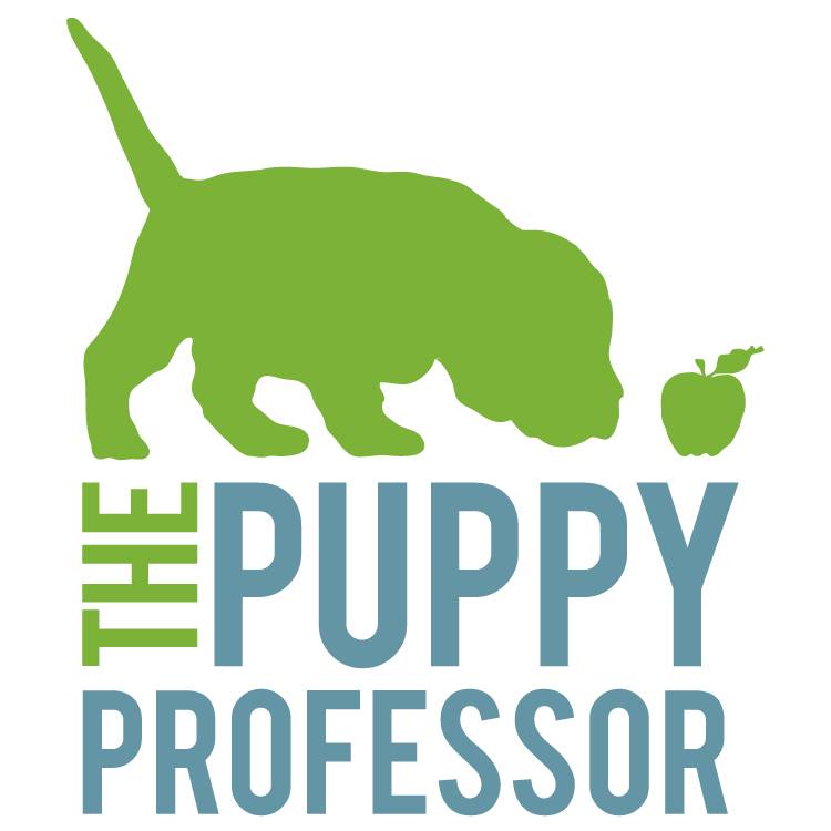 The Puppy Professor